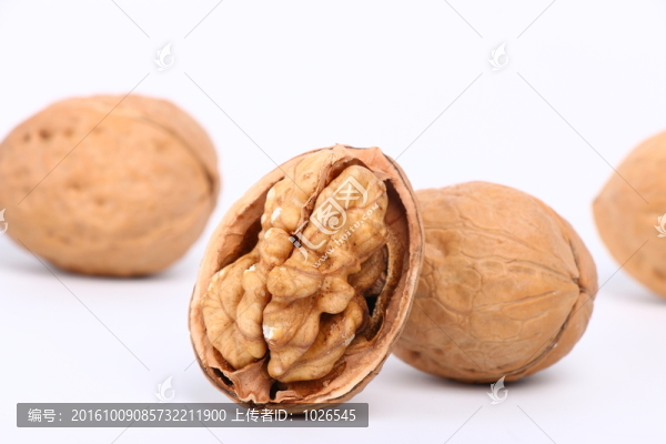核桃