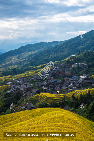 龍脊梯田