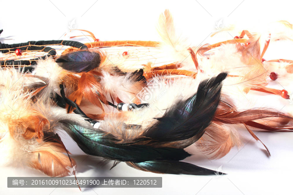 夢的捕手