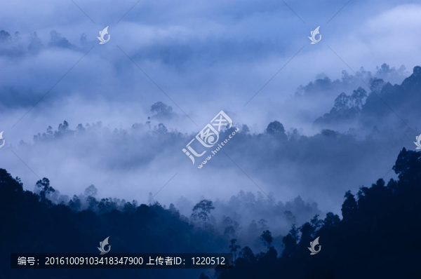 清晨的薄霧。