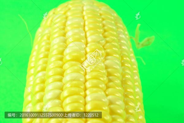 玉米穗。