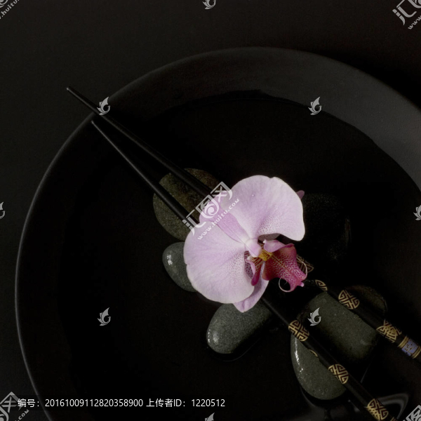 蘭花