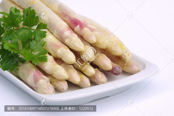 蘆筍07