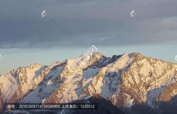 偏序集峰