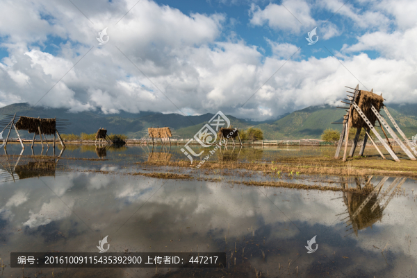 云南香格里拉納帕海