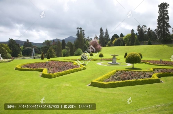 綠色裝飾的草地