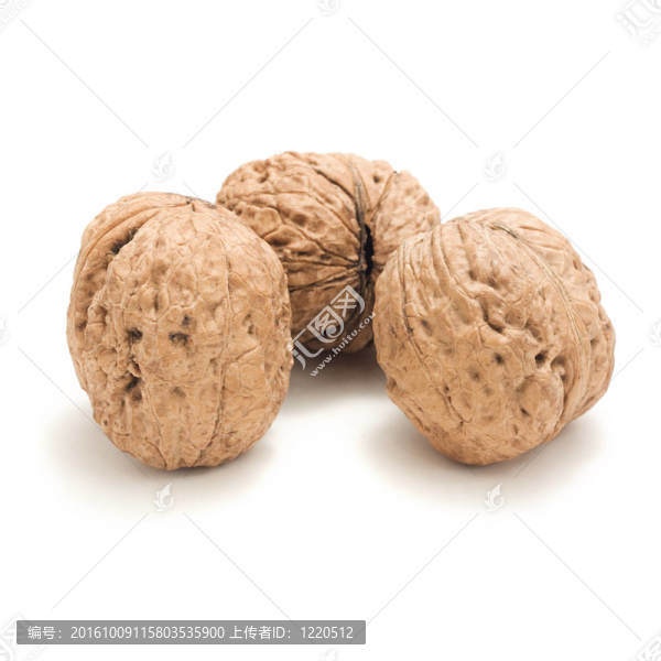 核桃