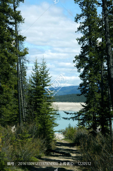在加拿大落基山脈的場景