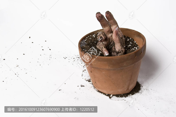 越來越多的手