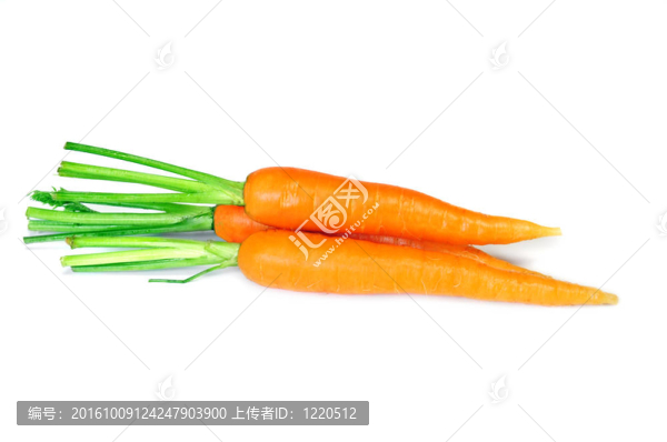 胡蘿卜新鮮蔬菜集團