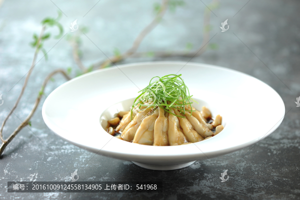 醉蟶子