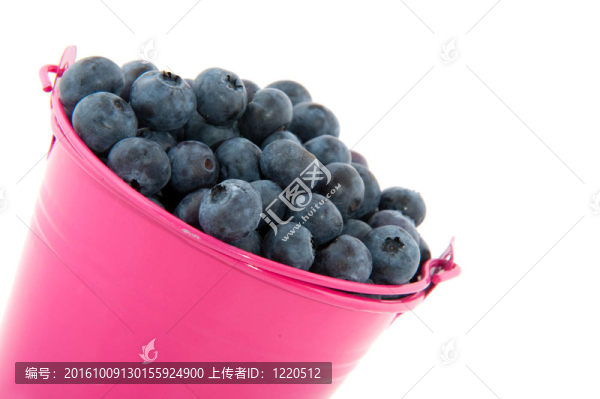 桶的藍(lán)莓