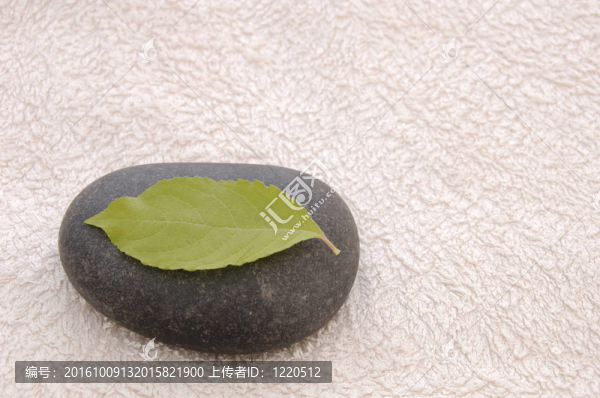 stilllife-23-0007
