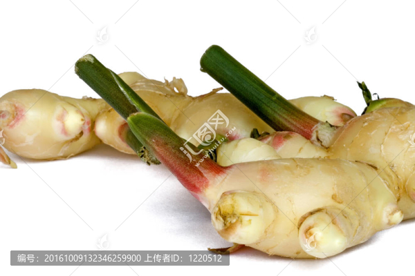 鮮姜