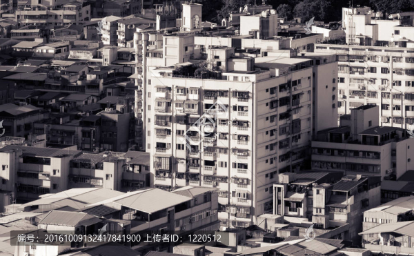 在黑與白的城市