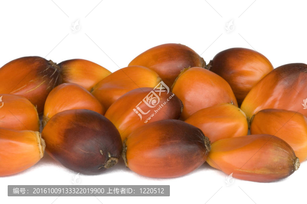 油棕櫚果