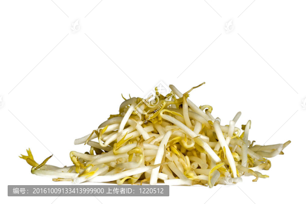 豆芽