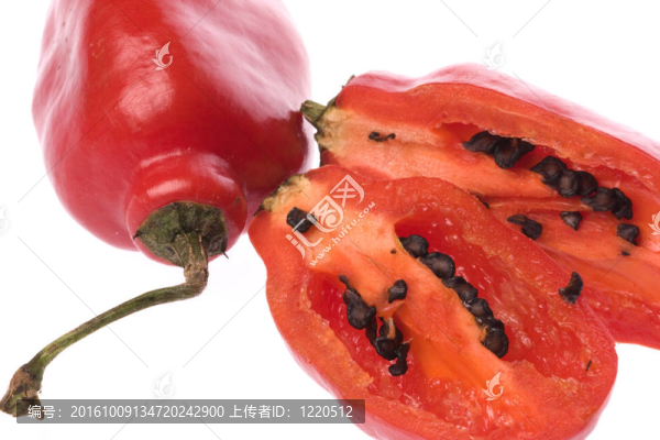 紅墨西哥辣椒宏