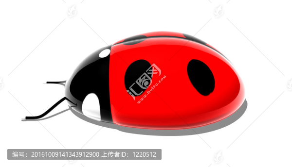 瓢蟲(chóng)
