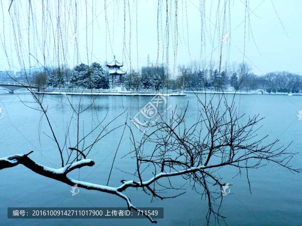 雪中公園景觀