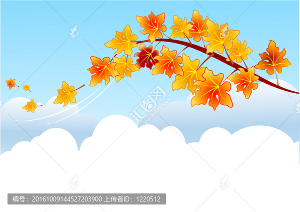 楓樹枝
