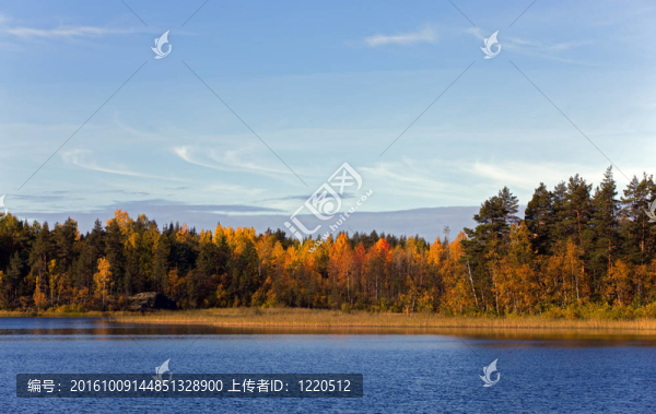 木湖海岸