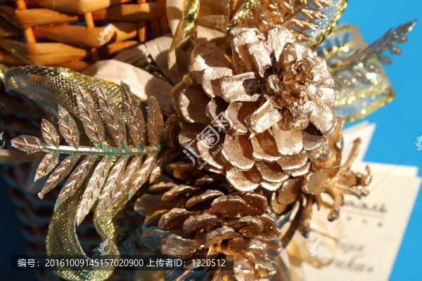 雪松錐