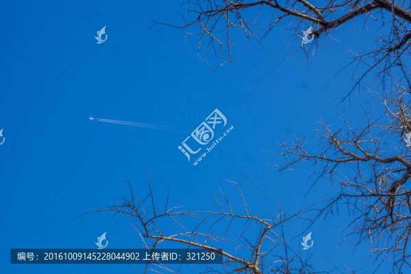 藍(lán)天下的枯樹枝