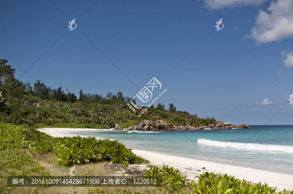 tropcal海灘
