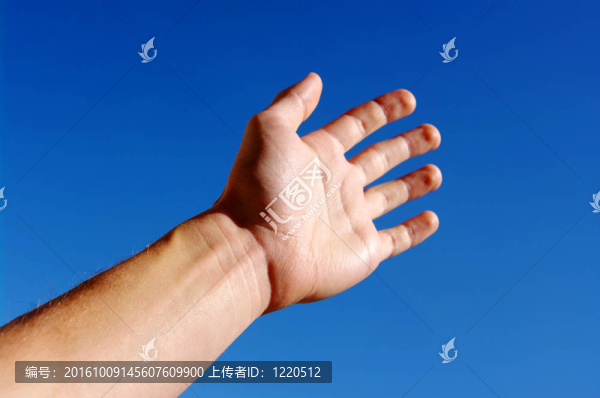 手