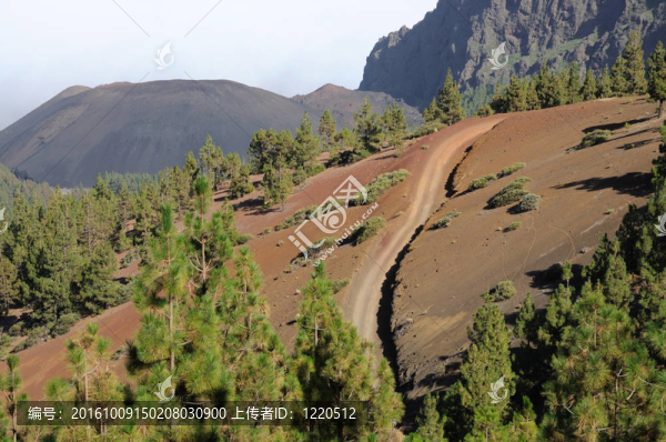 加那利群島景觀；西班牙；特內(nèi)里費(fèi)
