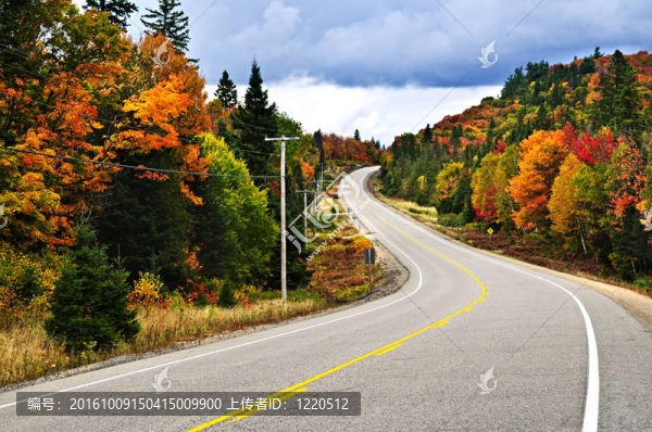 秋天的公路