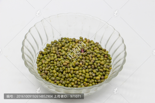 綠豆