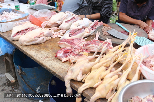 雞肉