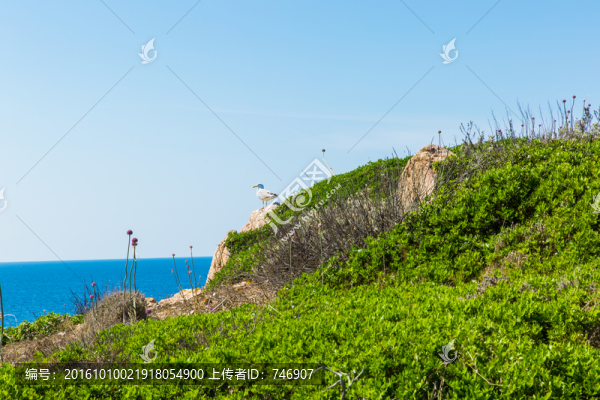 科西嘉島風(fēng)光