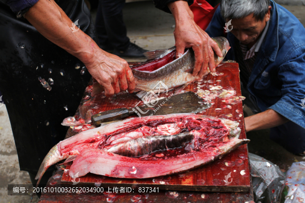剖魚(yú)