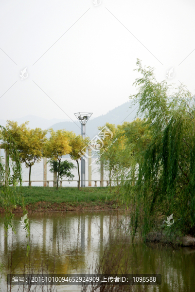 湖畔小景