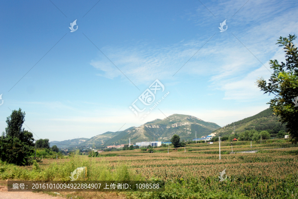 農(nóng)田遠(yuǎn)山
