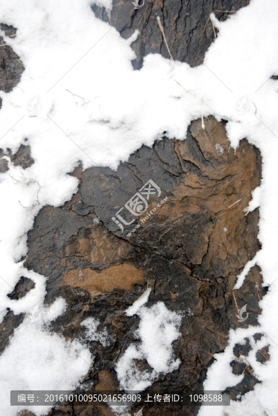 石上積雪