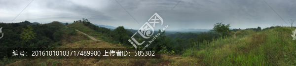寂靜山嶺蜿蜒小路