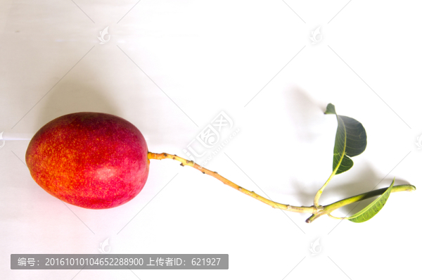 紅芒果