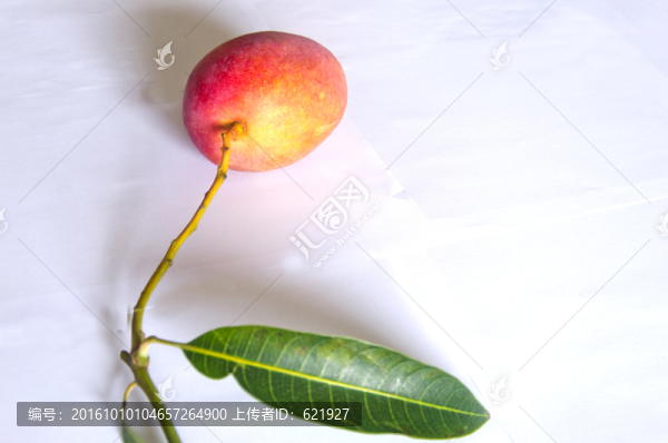 紅芒果