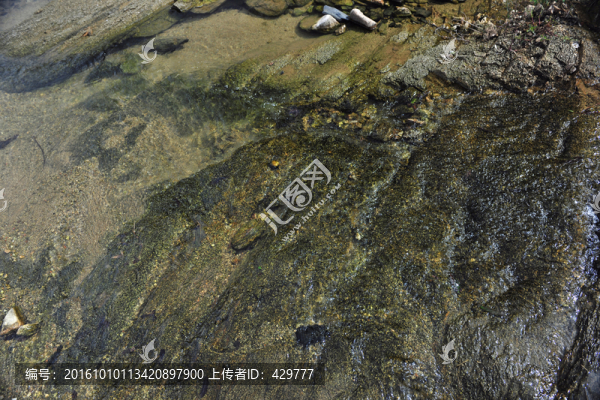 清水,,清泉