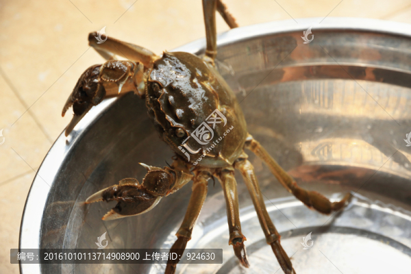 逃離