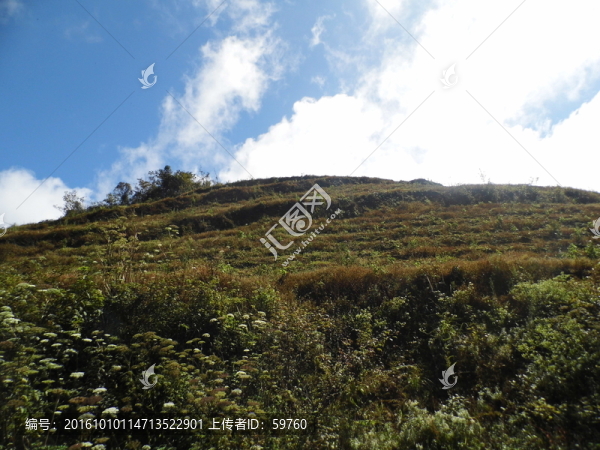 仰望高山