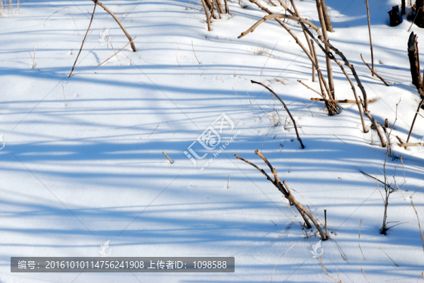 雪地光影