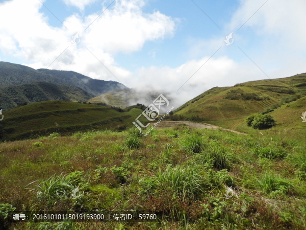 高山風(fēng)景