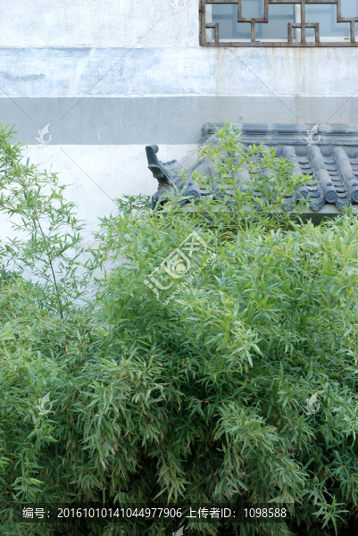 黛瓦白墻綠竹