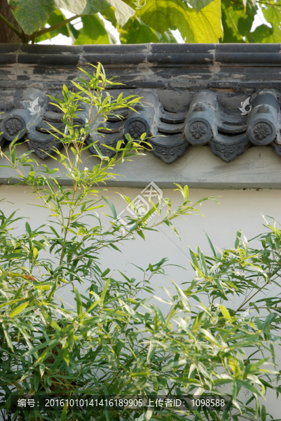 黛瓦白墻綠竹