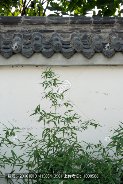 黛瓦白墻綠竹